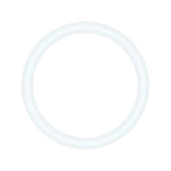 BlendJet BJ2 lokkpakning o-ring reservedel